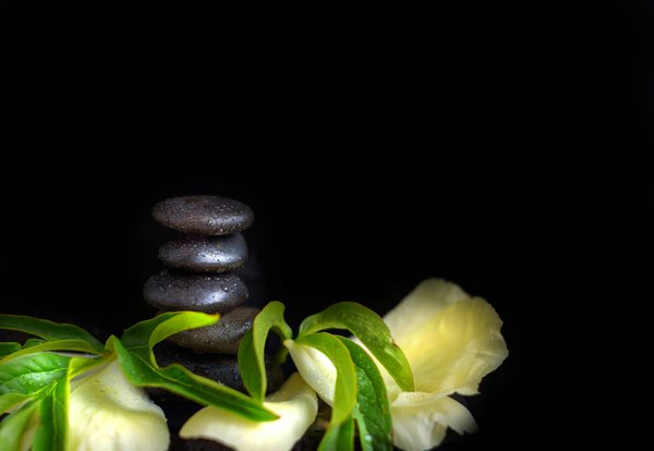 Quelle décoration zen utiliser pour préserver le bien-être et la beauté ?